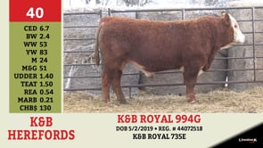 Lot #40 - K&B ROYAL 994G