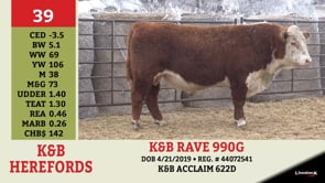 Lot #39 - K&B RAVE 990 G