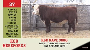 Lot #37 - K&B RAVE 988G