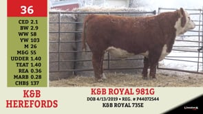 Lot #36 - K&B ROYAL 981G