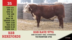 Lot #35 - K&B RAVE 977G
