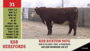 Lot #31 - K&B BUXTON 947G