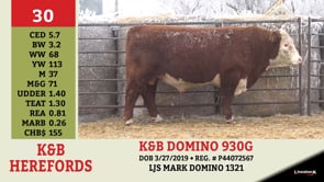 Lot #30 - K&B DOMINO 930G