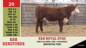 Lot #29 - K&B ROYAL 074H