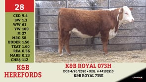 Lot #28 - K&B ROYAL 073H