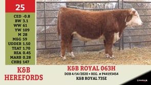 Lot #25 - K&B ROYAL 063H