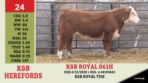 Lot #24 - K&B ROYAL 061H