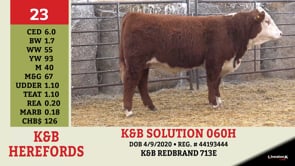 Lot #23 - K&B SOLUTION 060H