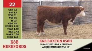 Lot #22 - K&B BUXTON 058H