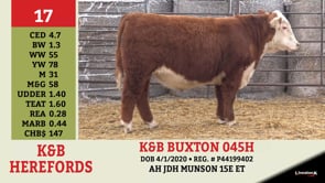 Lot #17 - K&B BUXTON 045H