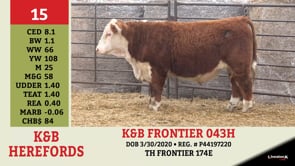 Lot #15 - K&B FRONTIER 043H