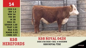 Lot #14 - K&B ROYAL 042H