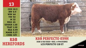 Lot #13 - K&B PERFECTO 039H