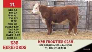 Lot #11 - K&B FRONTIER 028H