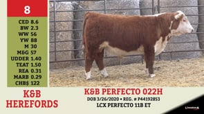Lot #8 - K&B PERFECTO 022H