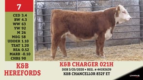 Lot #7 - K&B CHARGER 021H