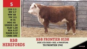 Lot #5 - K&B FRONTIER 013H