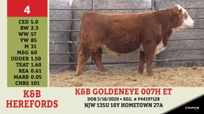 Lot #4 - K&B GOLDENEYE 007H