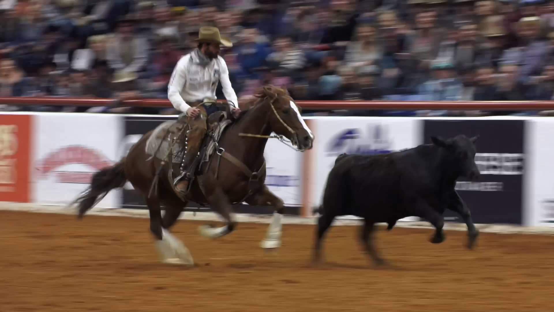 RON RALLS_World's Greatest Horseman Journey on Vimeo