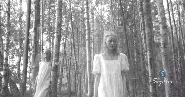 The Woods