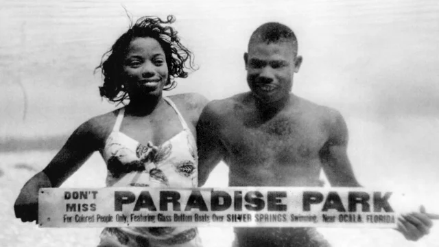 Lu Vickers and Cynthia Wilson-Graham explore the Florida attraction Paradise  Park in their book, Remembering Paradise Park.