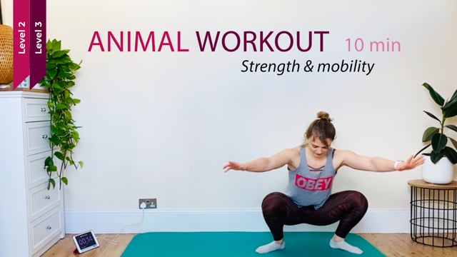 10 MIN | ANIMAL WORKOUT | strength & mobility