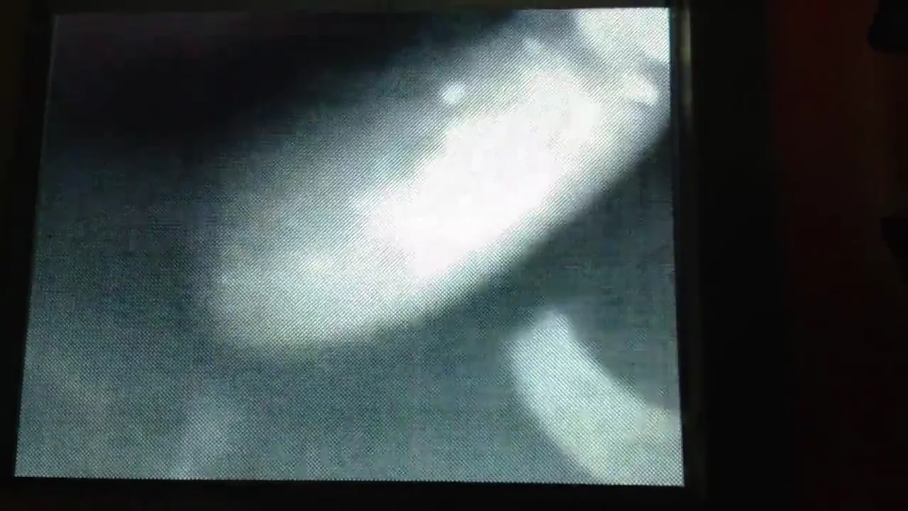64587.jpg
