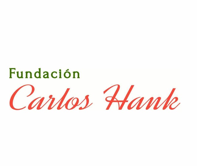 Fundación Carlos Hank - Institucional - 02:50
