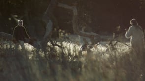 Related Embedded Video Item Thumbnail