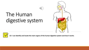Science 2201 human digestive system video