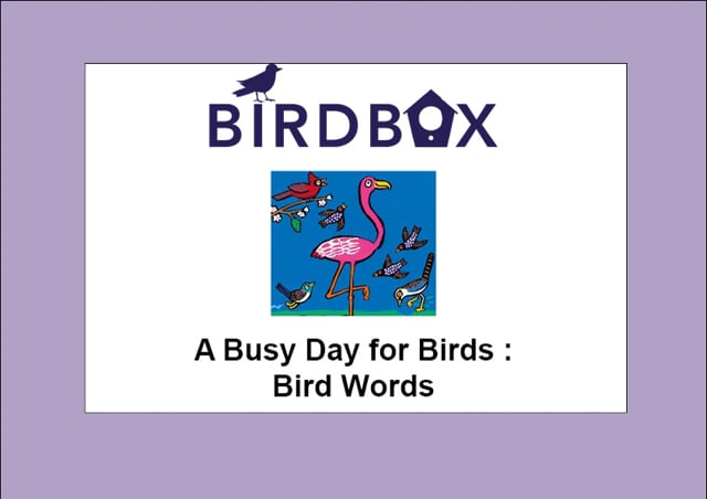 Video thumbnail image for: 'Bird Words'