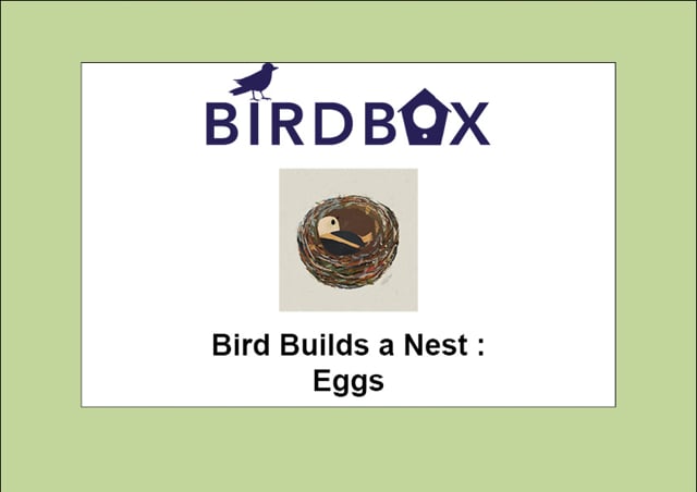 Video thumbnail image for: 'Eggs'