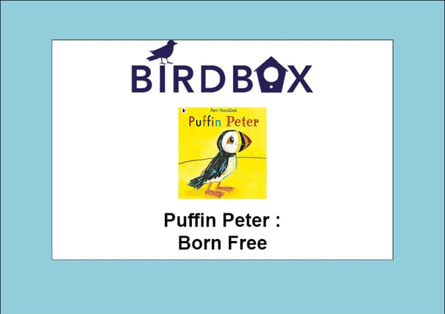 Video thumbnail image for: 'Born Free'