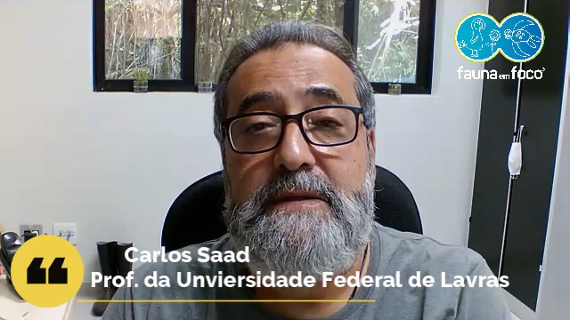 Prof. Dr. Carlos Saad