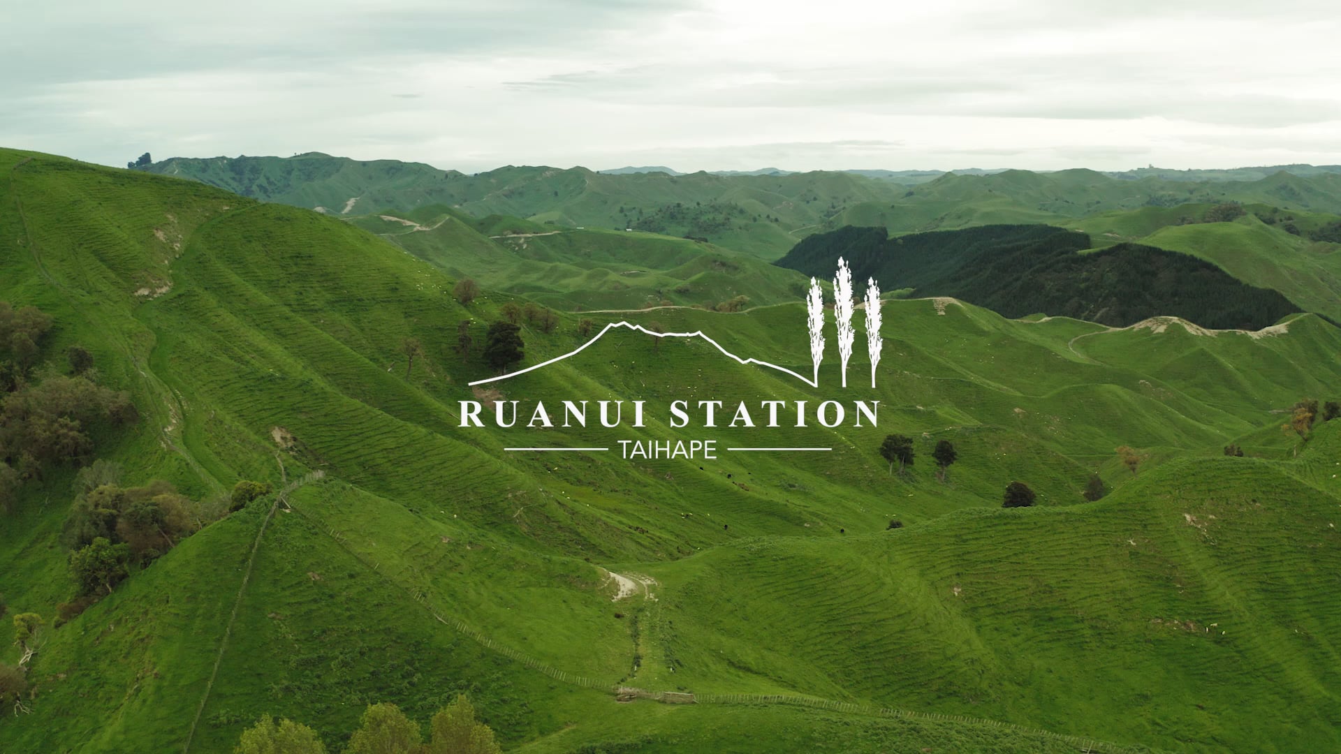Ruanui Station - Full story