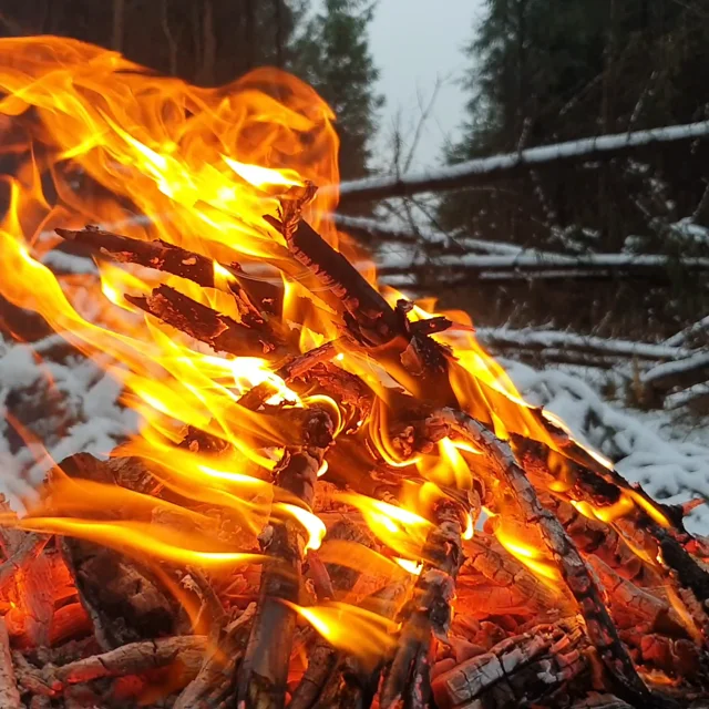 Bushcraft Knife – MenWithThePot