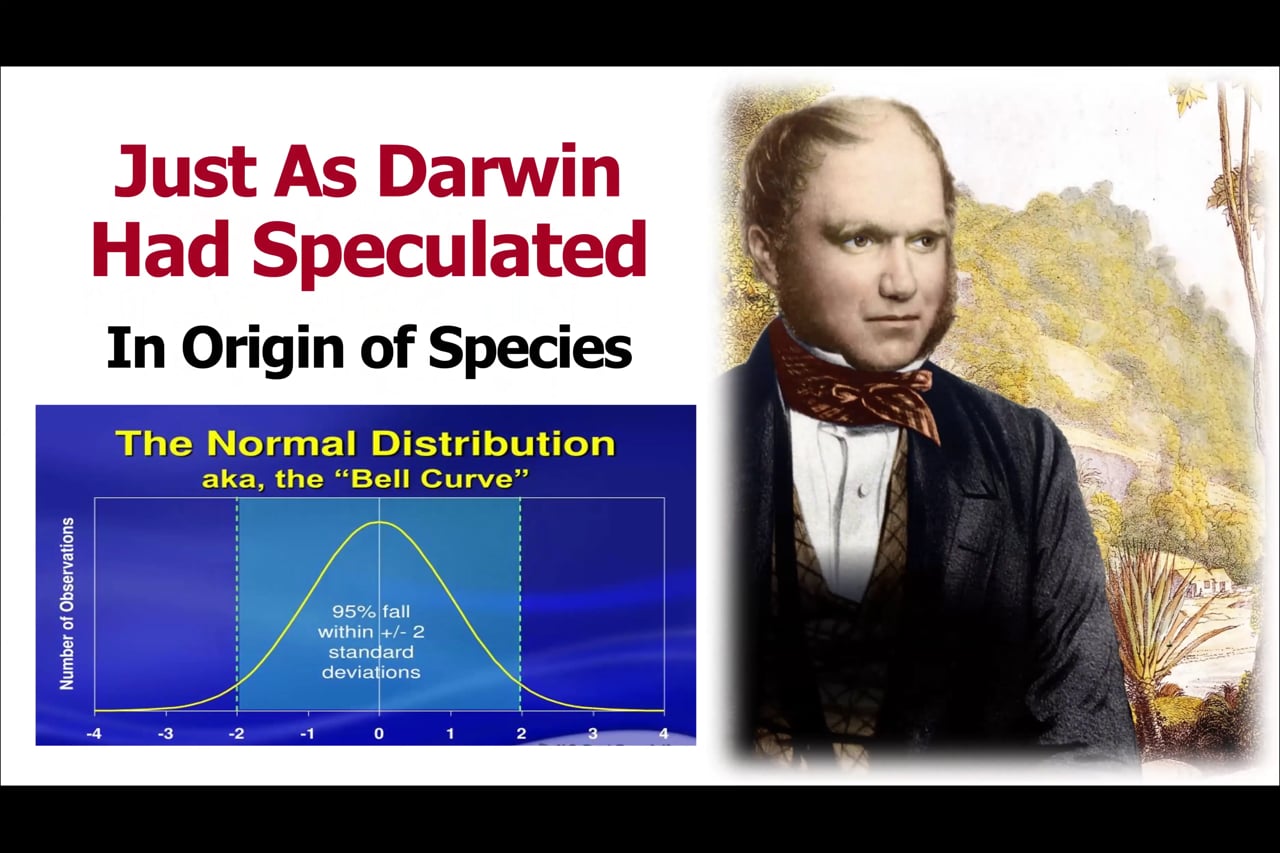 The Modern Synthesis/Neo-Darwinism
