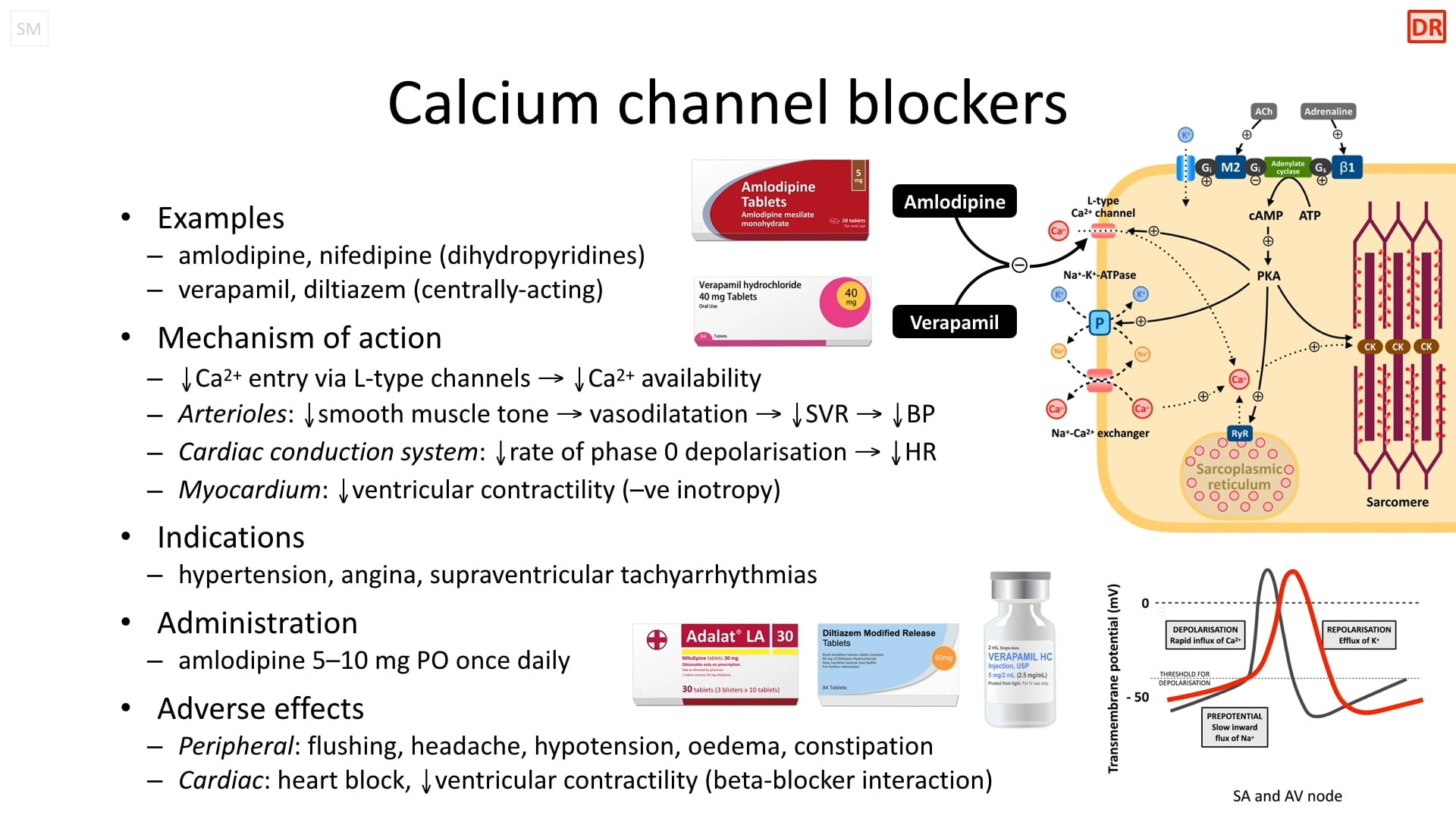 Calcium Channel Blockers vrogue.co