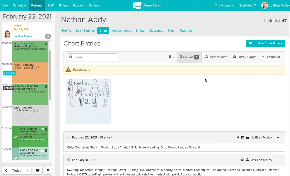 Jane Charting Basics on Vimeo