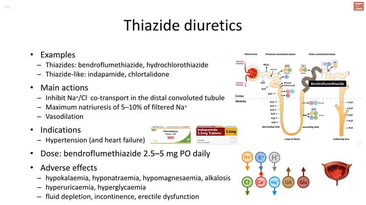 CPT 02 02 01 What are thiazide diuretics