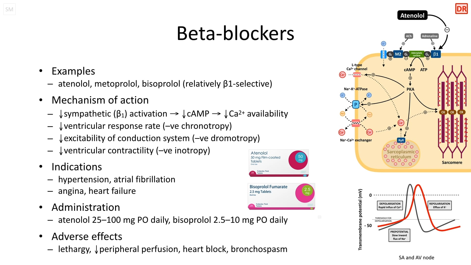 CPT-02-02-04 What Are Beta-blockers? On Vimeo