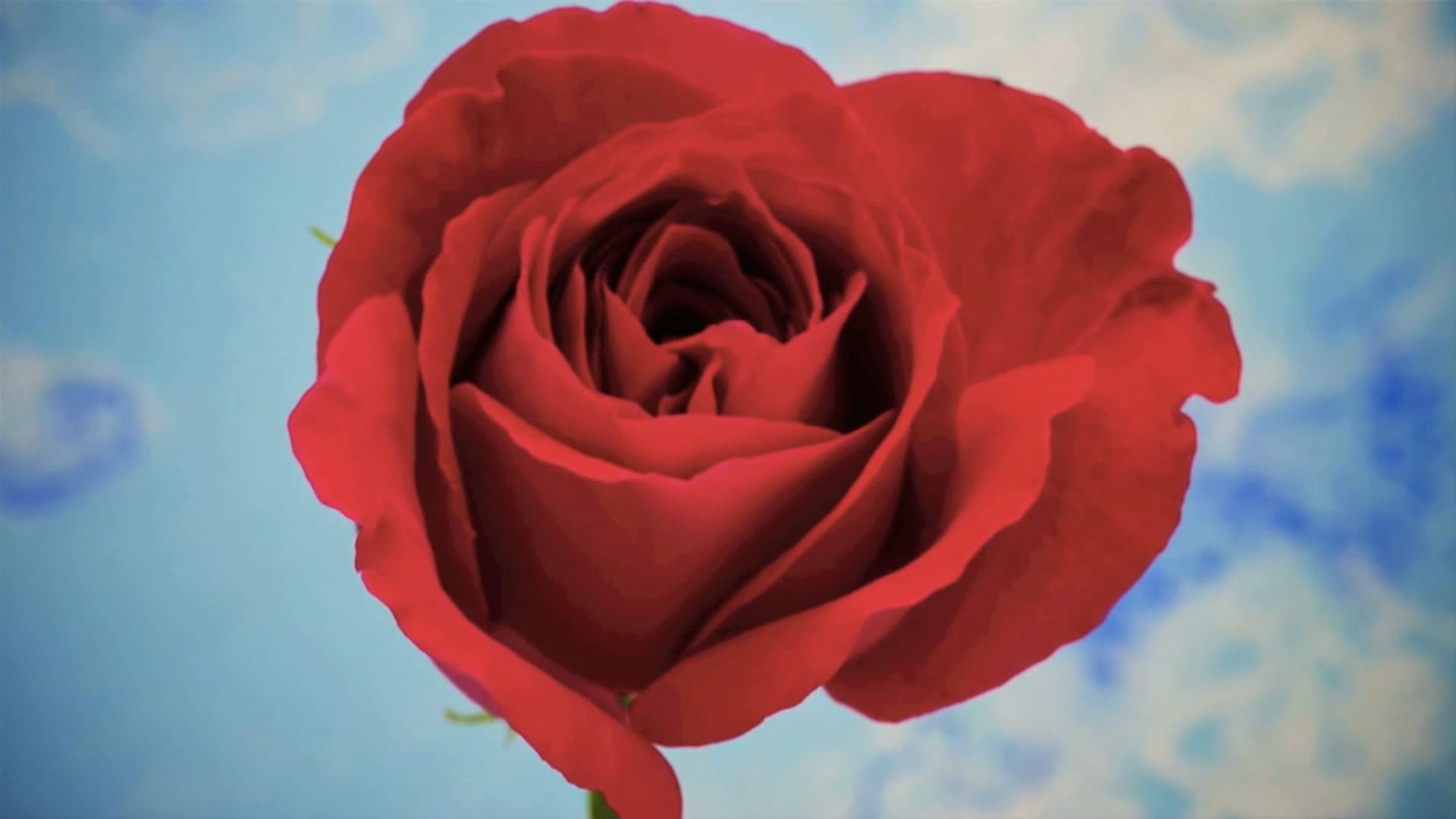 Starting Point tv series promo - VO Carolyn Durkalski