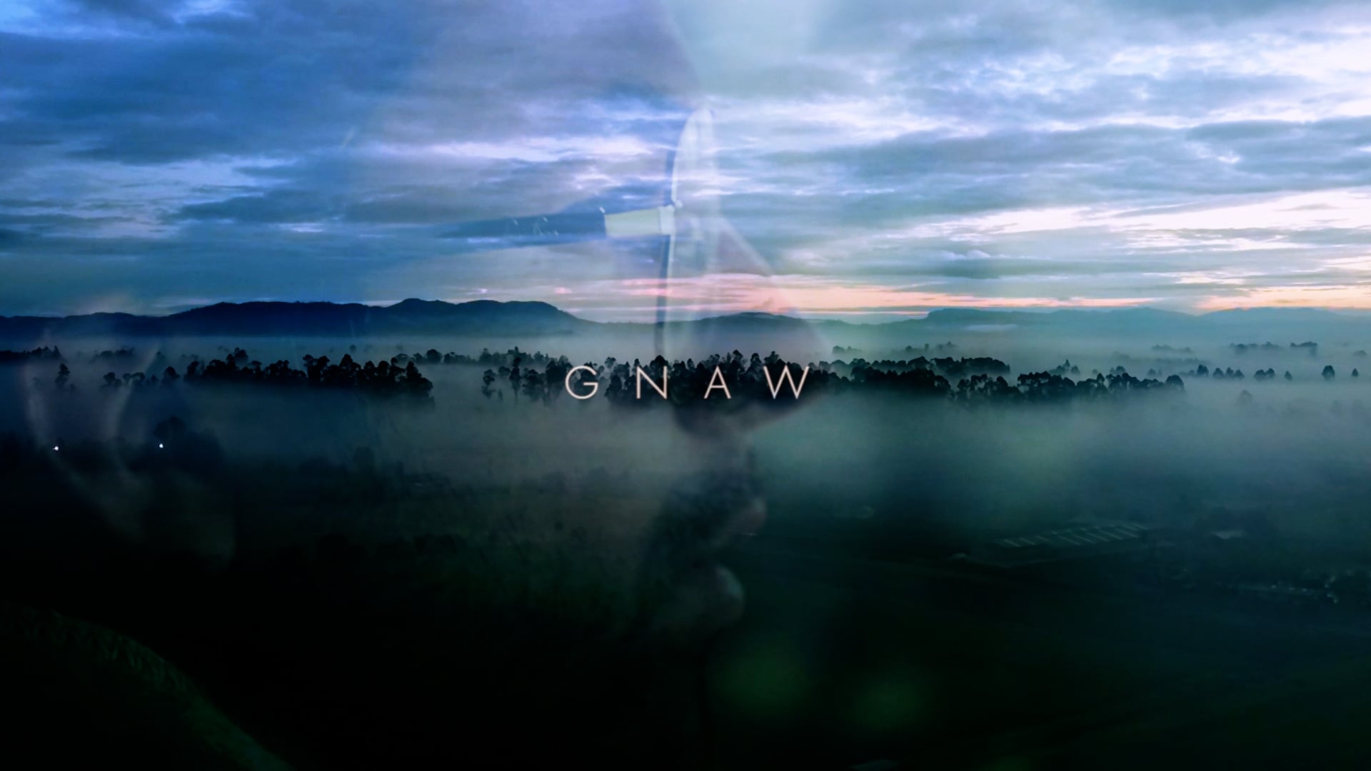 Gnaw