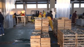 L'Ajuntament presenta tres projectes al GALP perquè els subvencioni