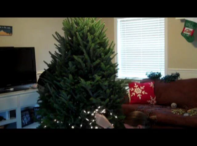 Ooo Christmas Tree on Vimeo