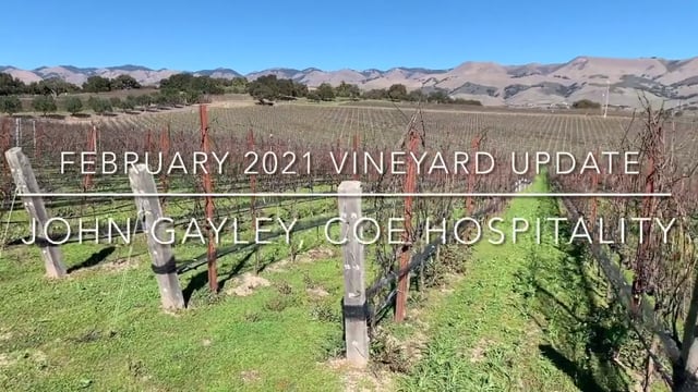 Winter 2021 Vineyard Update