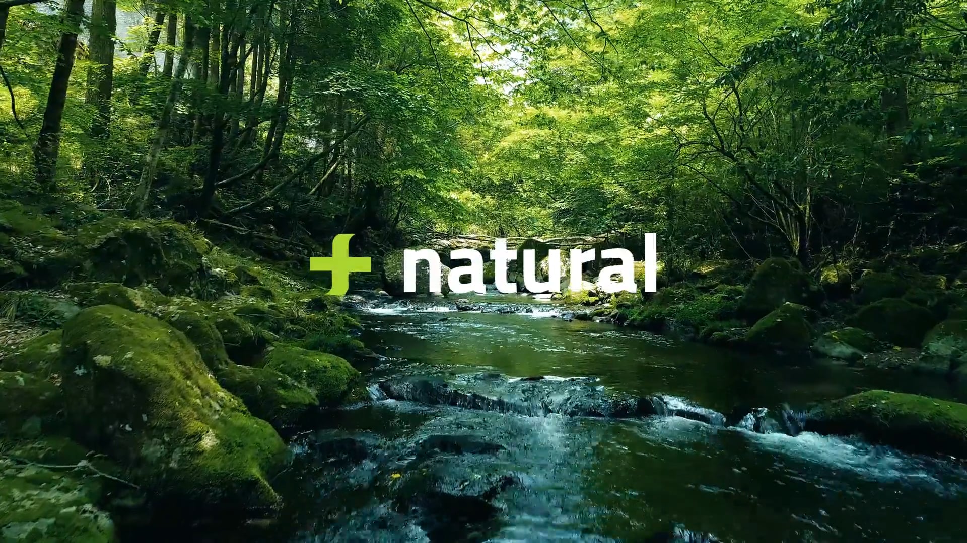 Fucac | Monitor Sostenible