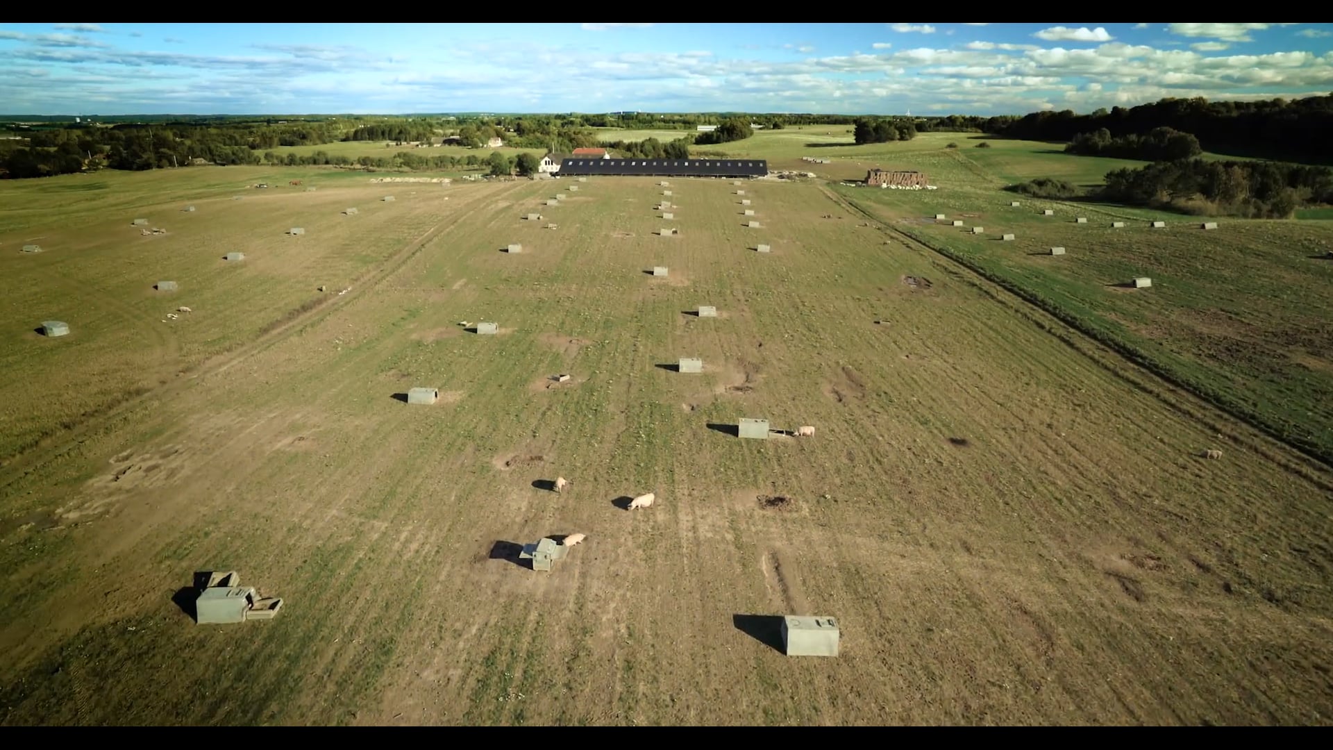 Dyrevelfærdsmærket