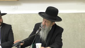 פרפראות ורמזים על ימי הפורים בעיר לוד תצוה אדר תשפא