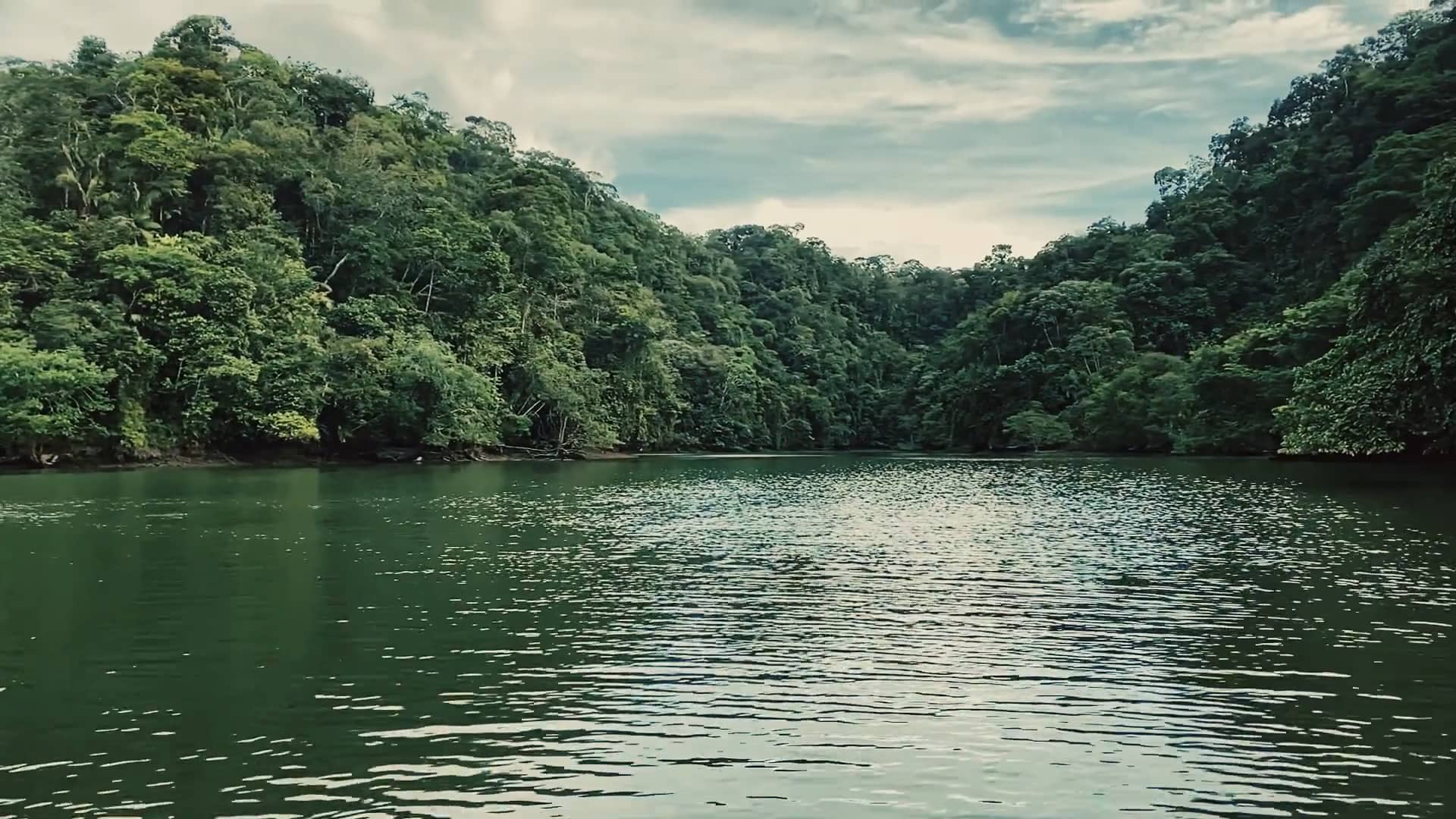 Déjame respirar / Let Me Breathe Music Video
